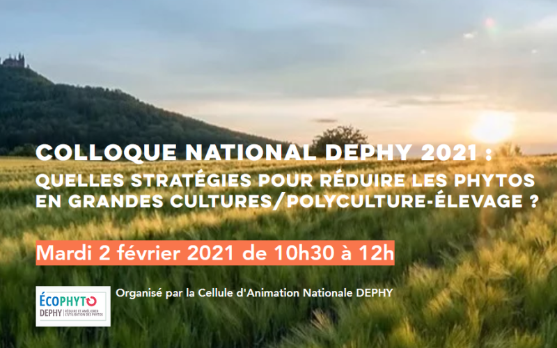 Colloque national DEPHY 2021, le mardi 2 février