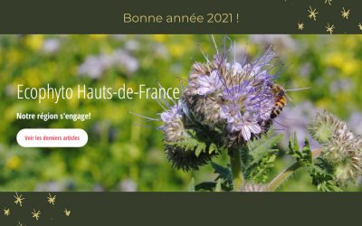 Meilleurs vœux 2021!