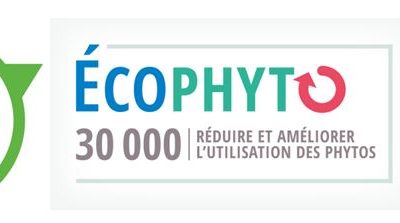 Collectifs locaux d’agriculteurs engagés dans l’agro-écologie: déposez vos projets!
