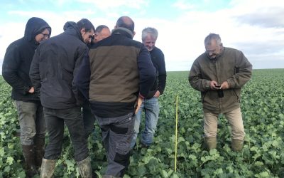 GIEE Agreau’ Logic, en Agriculture de Conservation des Sols