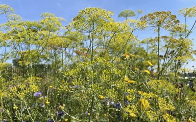 DEPHY Ferme renouvelle son réseau
