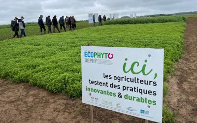 Marie Levaast, animatrice Groupe DEPHY