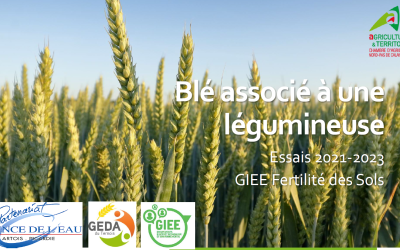 Des nouvelles du GIEE Fertilité des sols