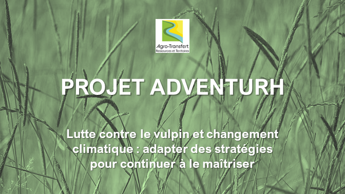 Projet Adventthur pour mieux lutter contre le vulpin
