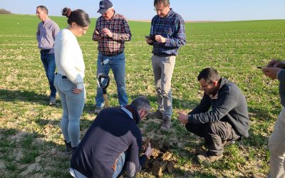 Focus sur le GIEE ECO-PHYT’ Artois Douaisis