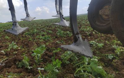 Interview de Nicolas Mourier – agriculteur – GIEE Sols Picards