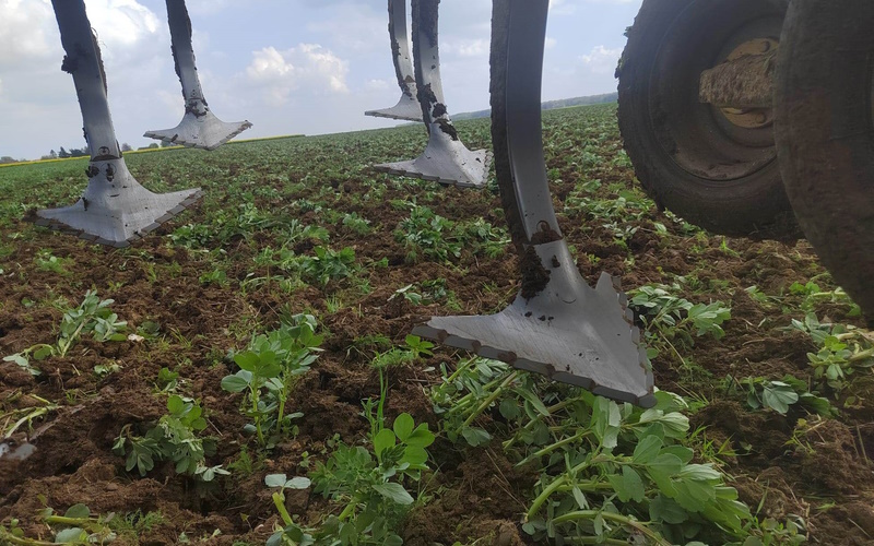 Interview de Nicolas Mourier - agriculteur - GIEE Sols Picards