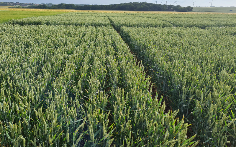 Appel à projets Ecophyto DEPHY EXPE 3