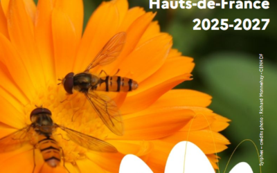 Un Plan Régional d&rsquo;Action pour préserver collectivement les pollinisateurs