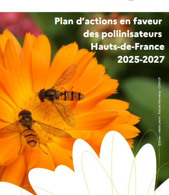 Un Plan Régional d&rsquo;Action pour préserver collectivement les pollinisateurs