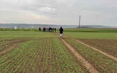 Le réseau DEPHY Ferme se renouvelle: Un nouvel appel à projets pour la période 2027-2031